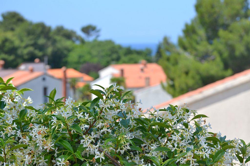 Apartments Zomzi Poreč Exterior foto